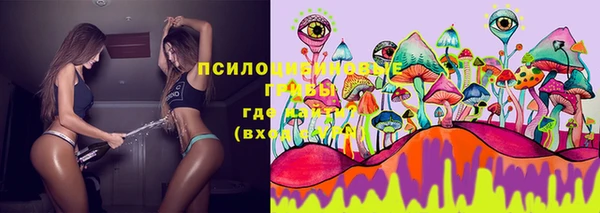 соль курить ск Алексеевка