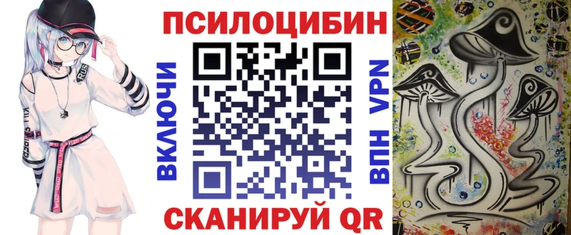 как найти наркотики  Мытищи  Псилоцибиновые грибы Psilocybe 